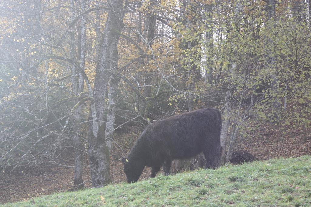 Alpenferienwohnungen Wiesenlehen Berchtesgaden Exterior foto